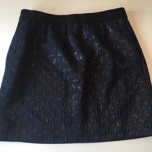 Ann Taylor Loft Petite Blue Metallic Skirt Size 8P